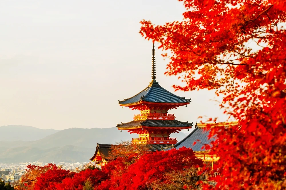 Greșeli frecvente într-un circuit în Japonia și cum le eviți (sfaturi de la experți)